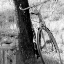 Picture of OUT FOR A RIDE
