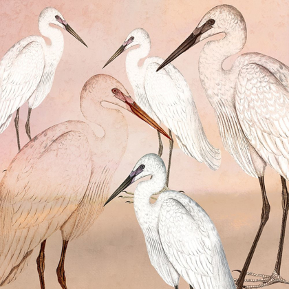 Picture of CRANES IN PINK