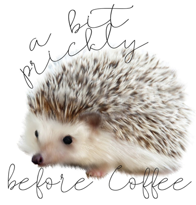 Picture of A BIT PRICKLY