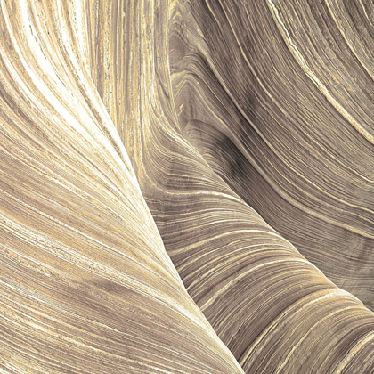 Picture of SANDSTONE