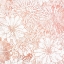 Picture of PARIS BLUSH 2