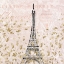 Picture of PARIS BLUSH 3