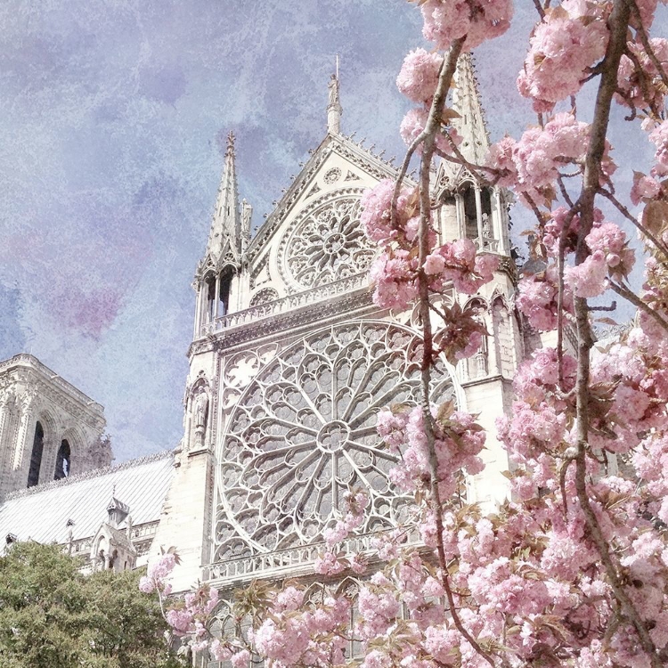 Picture of PARIS IN BLOOM 3