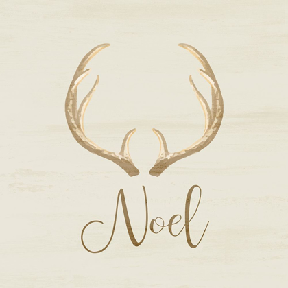 Picture of NOEL ANTLER