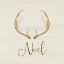 Picture of NOEL ANTLER
