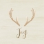 Picture of JOY ANTLER