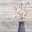 Picture of COTTON HOME 2