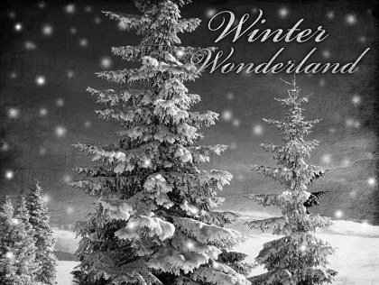 Picture of WINTER WONDERLAND 1