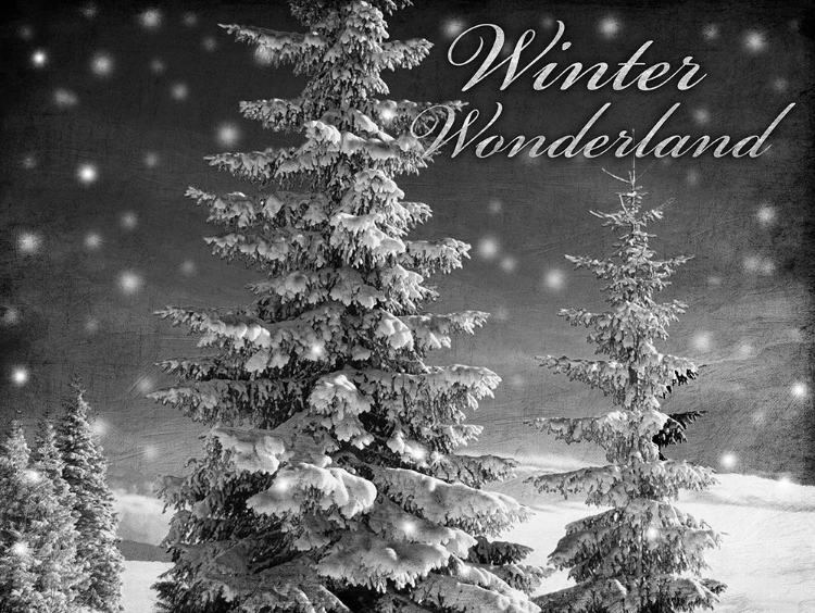 Picture of WINTER WONDERLAND 1