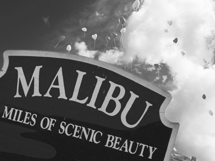 Picture of SCENIC MALIBU 1