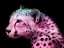 Picture of FUN CHEETAH 1