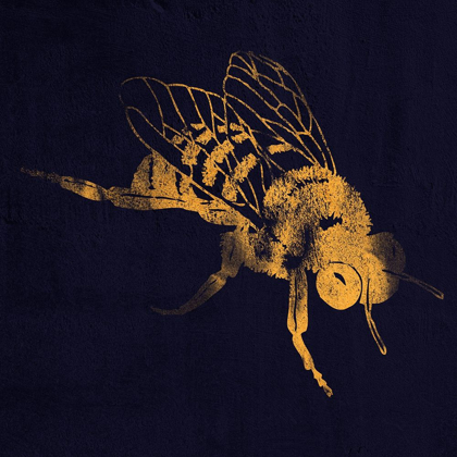Picture of HONEY BEE 1