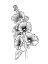 Picture of LINED FLOWERS