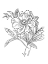 Picture of LINED FLOWERS MATE
