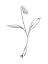 Picture of CLEAN FLOWERS MATE