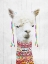 Picture of DRESSED LLAMA