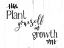Picture of PLANT GROWTH BW