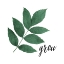 Picture of GROW LEAVES