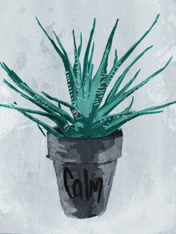 Picture of CALM PLANT