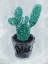 Picture of RELAX PLANT