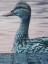Picture of AQUA DUCK