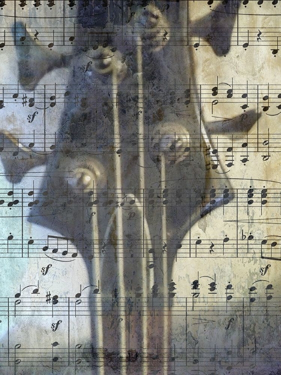 Picture of BASS GUITAR
