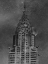 Picture of NY STARS
