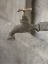 Picture of TAP IN