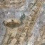 Picture of TENOR AND ALTO 2