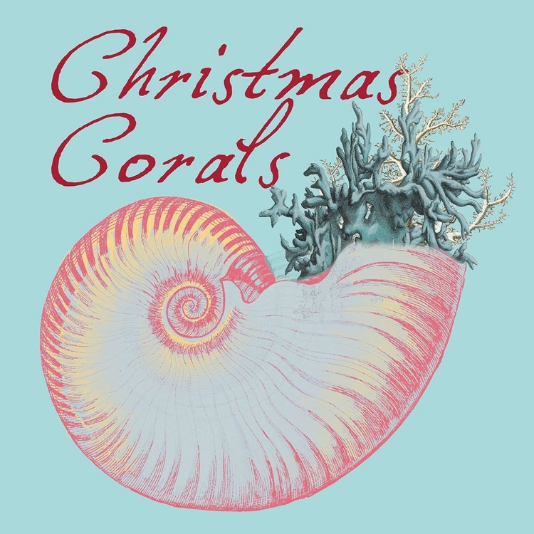 Picture of CHRISTMAS CORALS