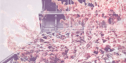 Picture of EIFFEL BLOSSOMS