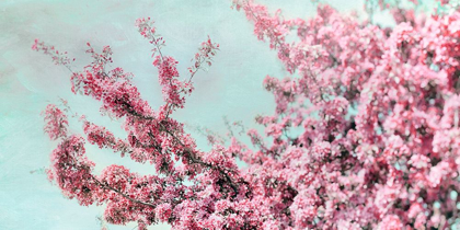Picture of BLOSSOMING SPRING