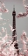 Picture of SPRING EIFFEL PASTEL