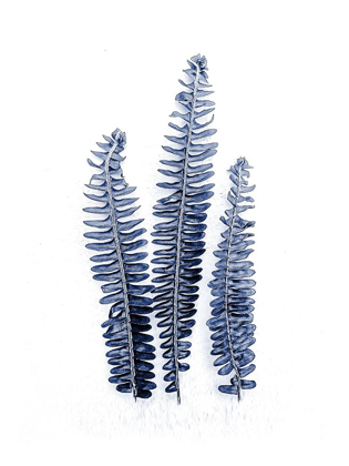 Picture of FERN FRONDS NAVY