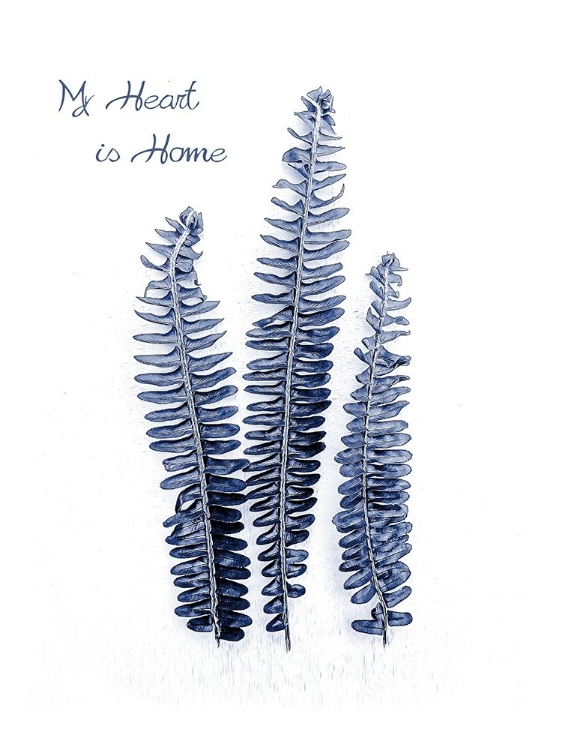 Picture of FERN FRONDS NAVY