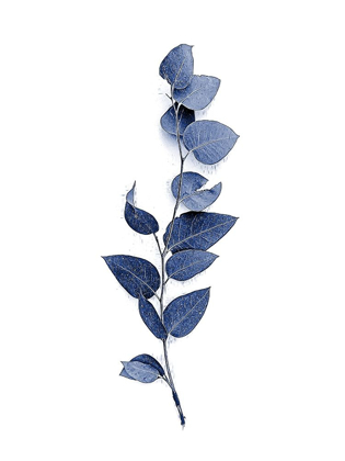 Picture of TINY BRANCH NAVY