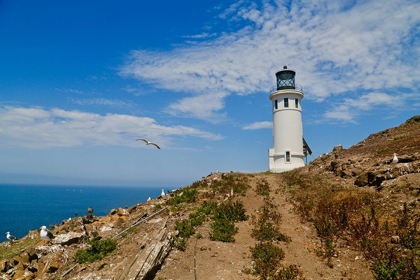 Picture of ANACAPA LIGHTHOUSE