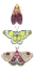 Picture of MOTH FAIRIES I