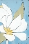 Picture of WHITE TULIP TRIPTYCH III