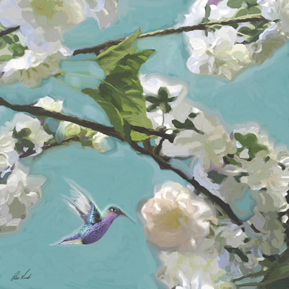 Picture of HUMMINGBIRD FLORALS II