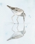 Picture of SANDPIPER REFLECTIONS I