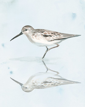 Picture of SANDPIPER REFLECTIONS II