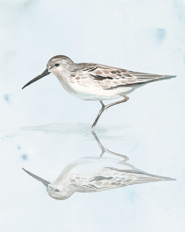 Picture of SANDPIPER REFLECTIONS II