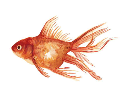 Picture of ORNAMENTAL GOLDFISH I