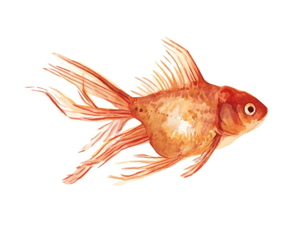 Picture of ORNAMENTAL GOLDFISH II