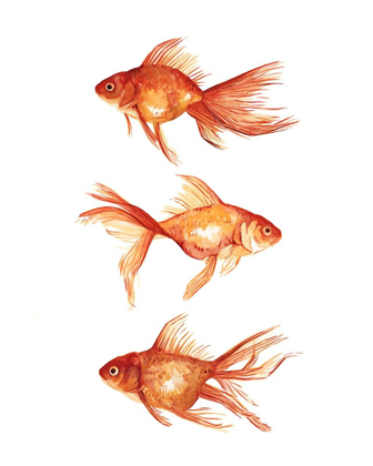 Picture of ORNAMENTAL GOLDFISH III