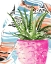 Picture of ZEBRA SUCCULENT I