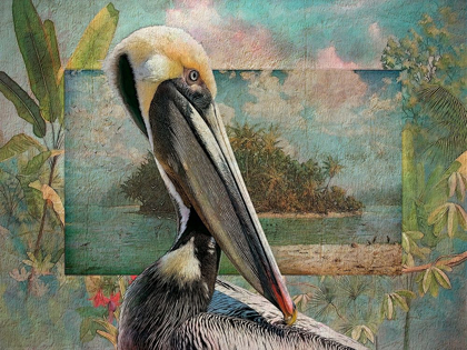Picture of PELICAN PARADISE II