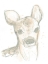 Picture of DEER CAMEO I