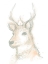 Picture of DEER CAMEO III